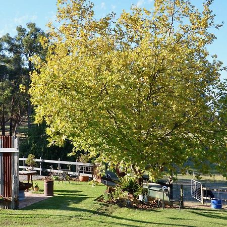 Wandin North The Stables酒店 外观 照片