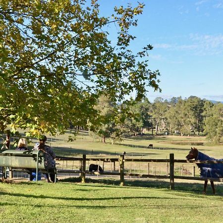 Wandin North The Stables酒店 外观 照片