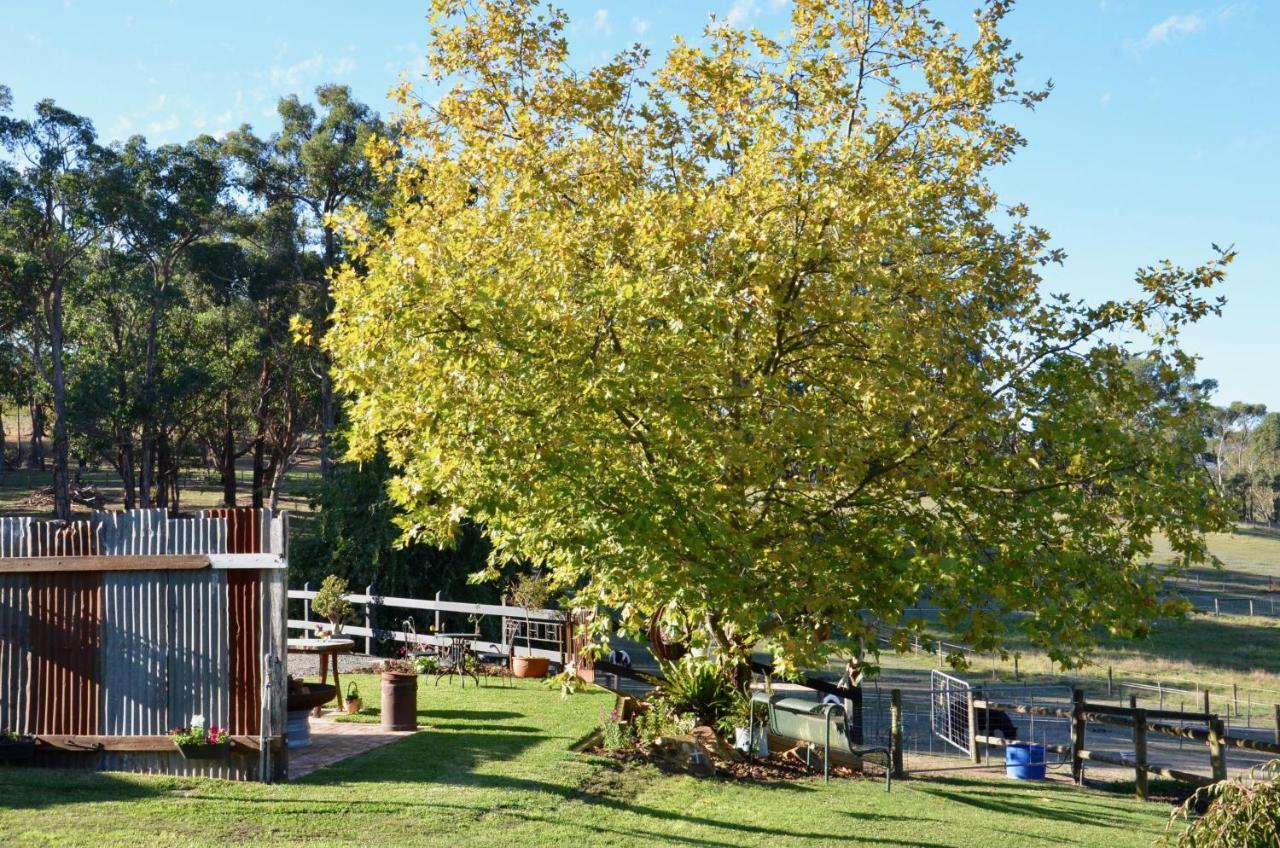 Wandin North The Stables酒店 外观 照片