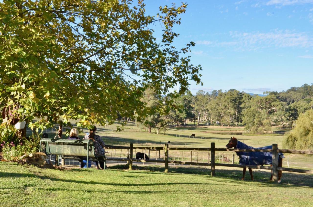 Wandin North The Stables酒店 外观 照片
