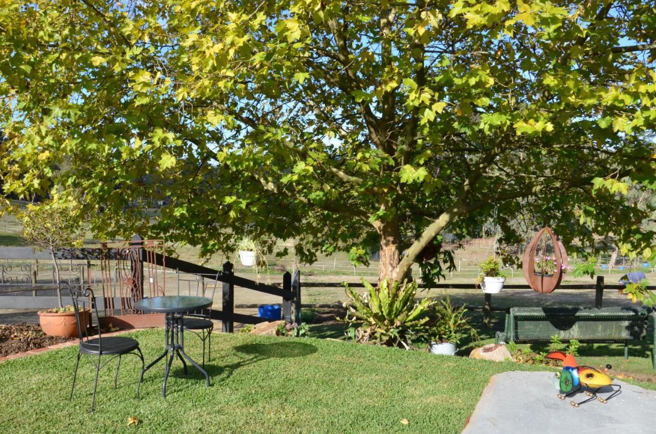 Wandin North The Stables酒店 外观 照片