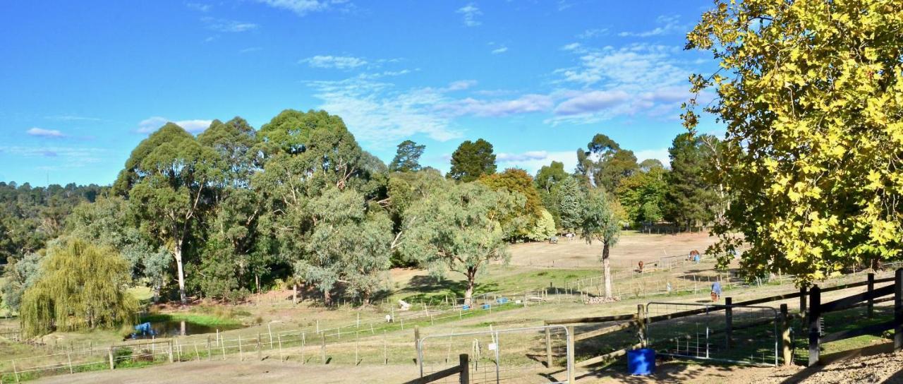 Wandin North The Stables酒店 外观 照片